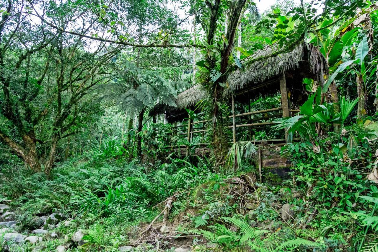 Kuyana Amazon Lodge Archidona Exterior foto