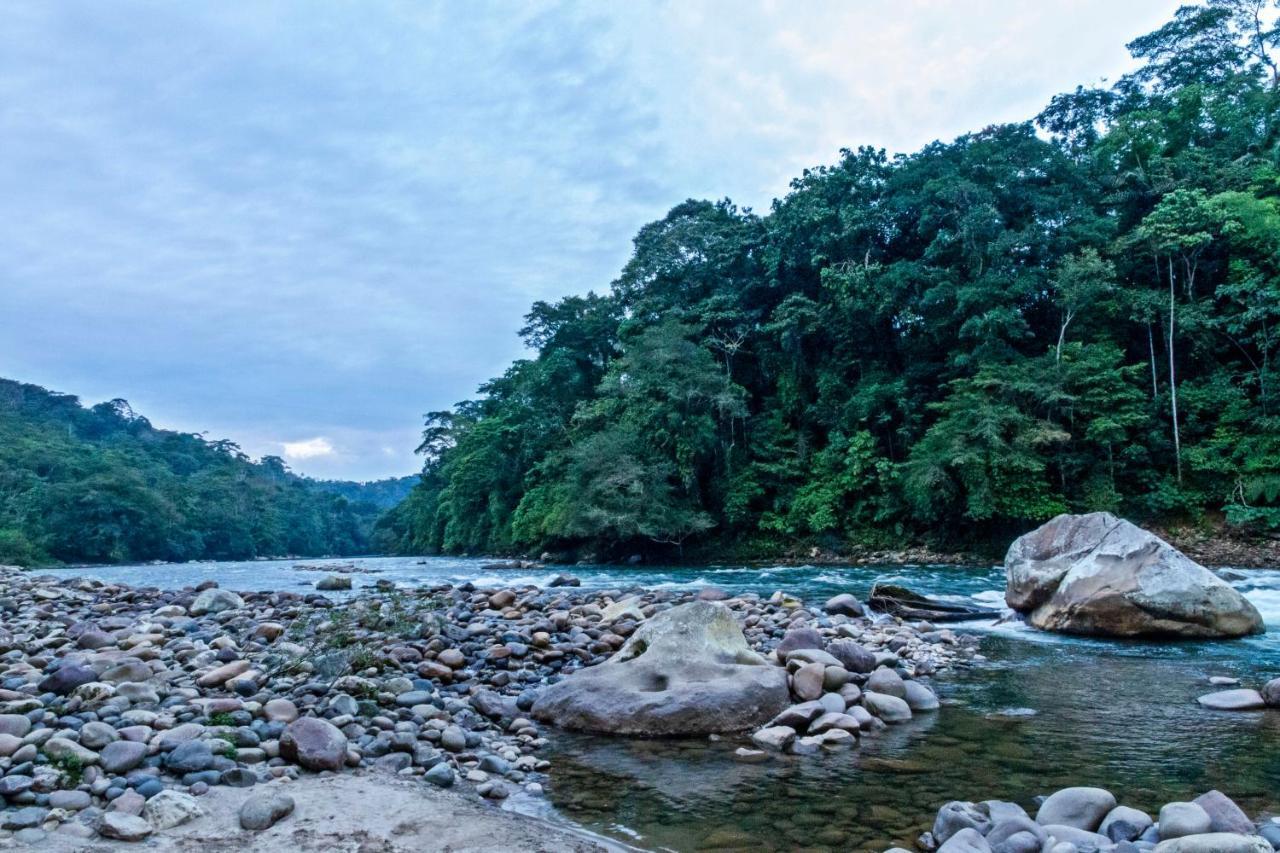 Kuyana Amazon Lodge Archidona Exterior foto