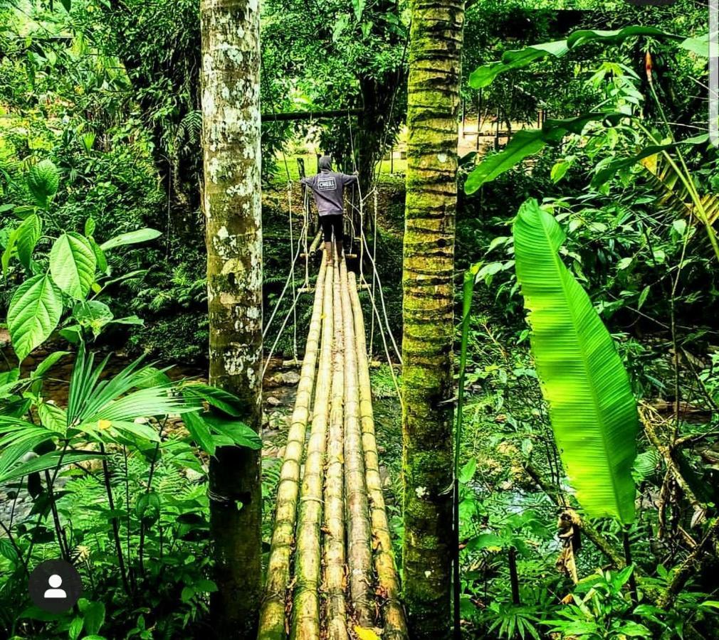 Kuyana Amazon Lodge Archidona Exterior foto